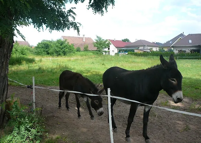 Pensjonat U Stoly